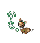 Dandy's Family（個別スタンプ：37）