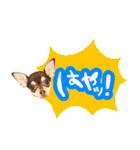Dandy's Family（個別スタンプ：38）