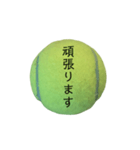 公式テニス用 ～挨拶編～（個別スタンプ：16）