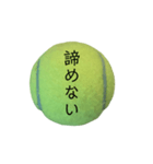 公式テニス用 ～挨拶編～（個別スタンプ：39）