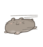毎日使える！ゆるふにゃはむすた〜（個別スタンプ：13）