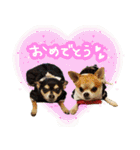 NIKE❤PUMA2（個別スタンプ：2）