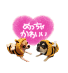 NIKE❤PUMA2（個別スタンプ：5）