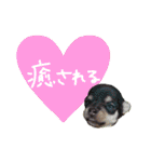 NIKE❤PUMA2（個別スタンプ：7）