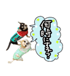 NIKE❤PUMA2（個別スタンプ：14）