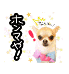 NIKE❤PUMA2（個別スタンプ：24）