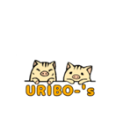 URIBO-'s（個別スタンプ：16）