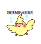 にこにこオカメインコ（個別スタンプ：15）