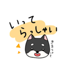 黒柴ごあいさつ（個別スタンプ：1）