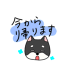 黒柴ごあいさつ（個別スタンプ：2）