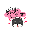 黒柴ごあいさつ（個別スタンプ：13）