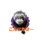 ふぇれすた。(よく使うver)（個別スタンプ：4）