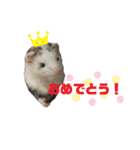 ふぇれすた。(よく使うver)（個別スタンプ：8）