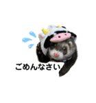 ふぇれすた。(よく使うver)（個別スタンプ：9）