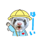 ふぇれすた。(よく使うver)（個別スタンプ：13）