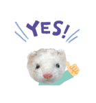ふぇれすた。(よく使うver)（個別スタンプ：15）