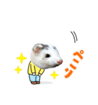 ふぇれすた。(よく使うver)（個別スタンプ：17）