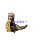 ふぇれすた。(よく使うver)（個別スタンプ：21）