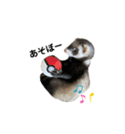 ふぇれすた。(よく使うver)（個別スタンプ：29）