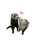 ふぇれすた。(よく使うver)（個別スタンプ：38）