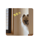 れお↑ぽん↓3（個別スタンプ：1）