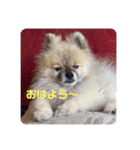 れお↑ぽん↓3（個別スタンプ：7）