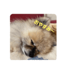 れお↑ぽん↓3（個別スタンプ：8）