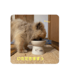 れお↑ぽん↓3（個別スタンプ：9）