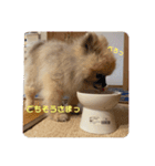 れお↑ぽん↓3（個別スタンプ：10）