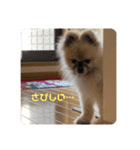 れお↑ぽん↓3（個別スタンプ：11）