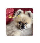 れお↑ぽん↓3（個別スタンプ：13）