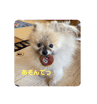 れお↑ぽん↓3（個別スタンプ：14）