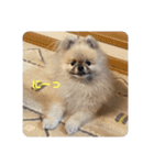 れお↑ぽん↓3（個別スタンプ：15）