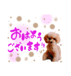 Menma♡（個別スタンプ：1）