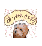 Menma♡（個別スタンプ：7）