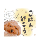 Menma♡（個別スタンプ：9）