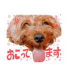Menma♡（個別スタンプ：11）