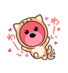 クマちゃんスタンプ（個別スタンプ：10）