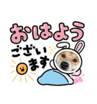 柴犬ふくの日常スタンプ第6弾♪♪（個別スタンプ：8）