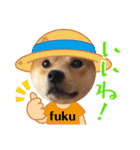 柴犬ふくの日常スタンプ第6弾♪♪（個別スタンプ：16）