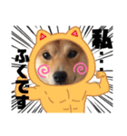 柴犬ふくの日常スタンプ第6弾♪♪（個別スタンプ：18）