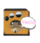 ミニシュナ＆アメコカ（個別スタンプ：13）
