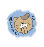 ちいねこスタンプ(敬語)（個別スタンプ：7）