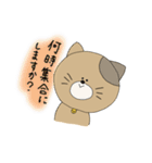 ちいねこスタンプ(敬語)（個別スタンプ：19）