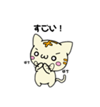 ねこのとらきち（個別スタンプ：12）