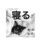 まだ赤ちゃんだから（個別スタンプ：2）