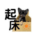 まだ赤ちゃんだから（個別スタンプ：5）
