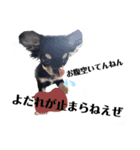 まだ赤ちゃんだから（個別スタンプ：7）