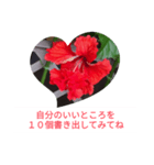 ハイビスカス自己愛スタンプ（個別スタンプ：2）