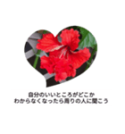 ハイビスカス自己愛スタンプ（個別スタンプ：3）